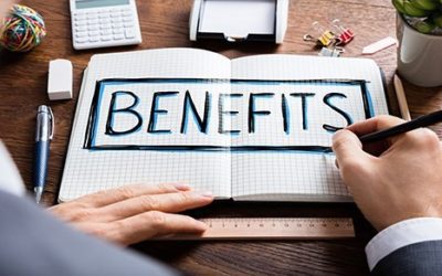 Turbo Tax vs. Tax Professional
