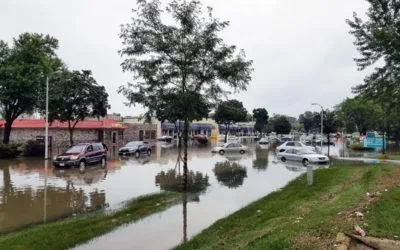 Did you have an extension? Were you affected by Hurricane Harvey?